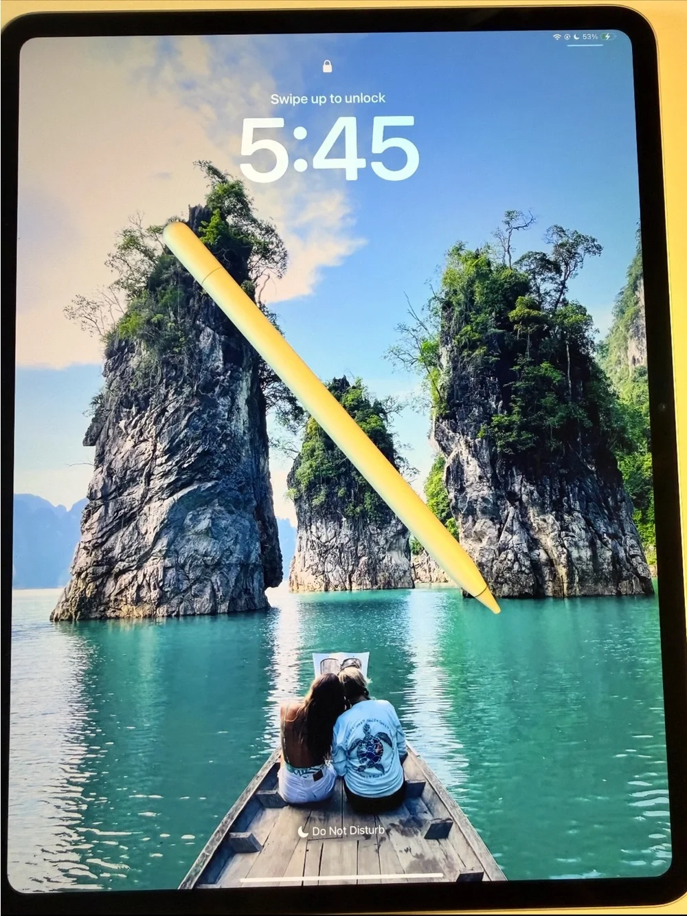 Brand New Apple iPad Pro - Silver Back
